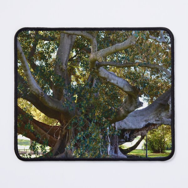 Item preview, A Hundred Years of History designed and sold by Daria Lev Photo Art.