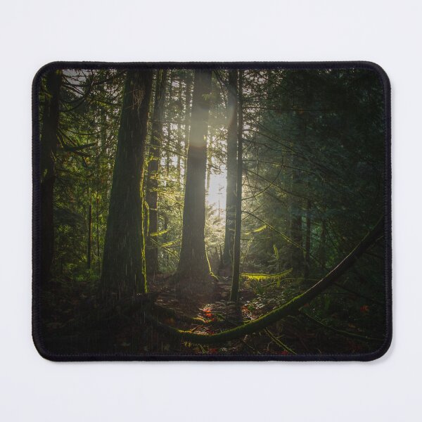 Item preview, The Light in the Dark Rain Forest designed and sold by Ernie Steven Dickey.