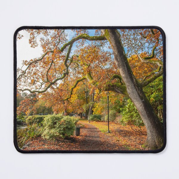 Item preview, Autumn at Beacon Hill Park designed and sold by Ernie Steven Dickey.