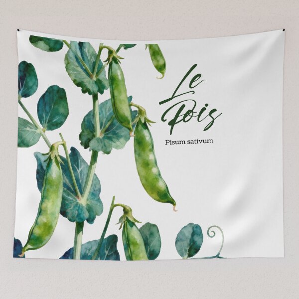Item preview, Les Pois (Peas) – French Botanical Watercolor Art for Gardeners & Francophiles designed and sold by FrancophileFun.