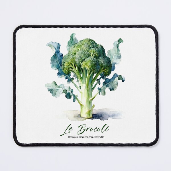 Item preview, Le Brocoli (Broccoli) – French Botanical Watercolor Art for Gardeners & Francophiles designed and sold by FrancophileFun.