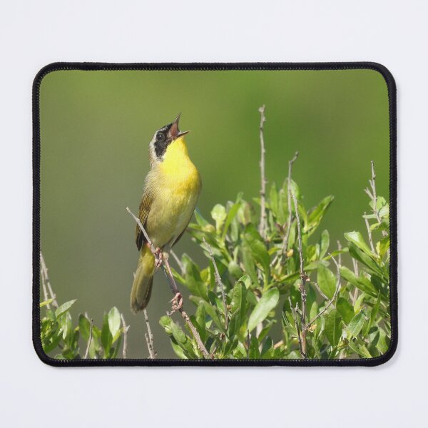 Item preview, Wild Bird, common yellowthroat, wildlife gifts designed and sold by Sandra O'Toole.