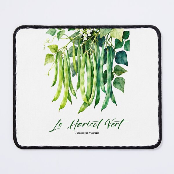Item preview, Le Haricot Vert (Green Bean) – French Botanical Watercolor Art for Gardeners & Francophiles designed and sold by FrancophileFun.