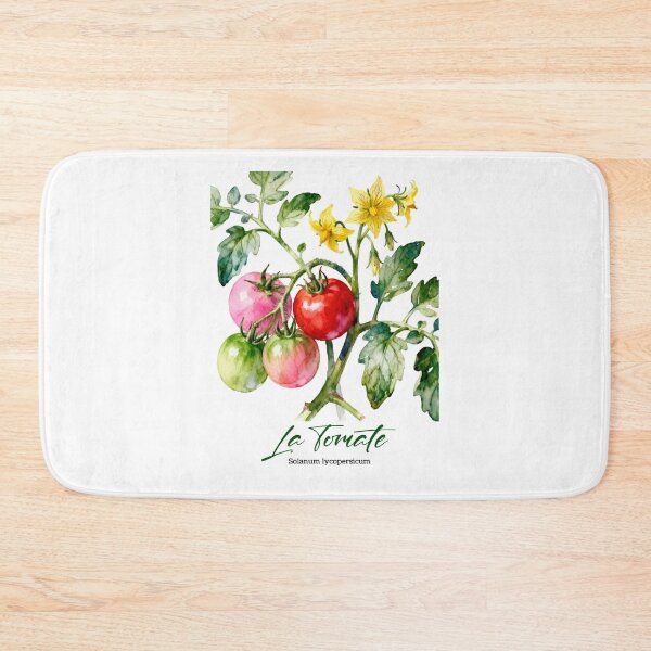 Aperçu de l'œuvre La Tomate – Aquarelle botanique française pour jardiniers et francophiles créée et vendue par FrancophileFun.
