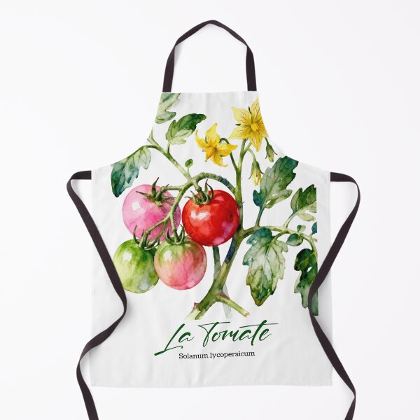 Artikelvorschau, La Tomate (Tomate) – Französische botanische Aquarellkunst für Gärtner und Frankophile entworfen und verkauft von FrancophileFun.