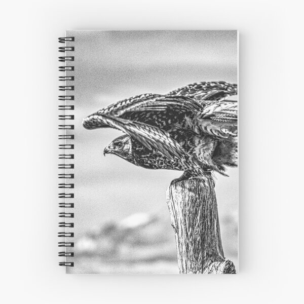 Item preview, The Buzzard designed and sold by Keltoi-art.