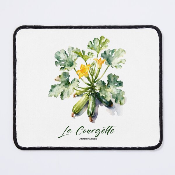 Item preview, La Courgette (Zucchini) – French Botanical Watercolor Art for Gardeners & Francophiles designed and sold by FrancophileFun.