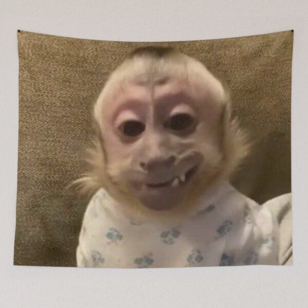 Item preview, silly monkey designed and sold by monkey zone.