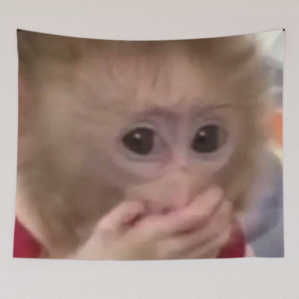 Item preview, silly little monkey designed and sold by monkey zone.