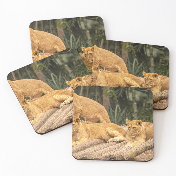 Item preview, Lion Cubs on Logs Zoo Sao Paulo designed and sold by Sonny Vermeer.