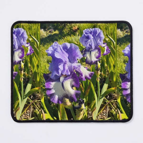 Item preview, Purple Blue Iris Flower Garden Photo Lavender designed and sold by Sarah Rajkotwala.