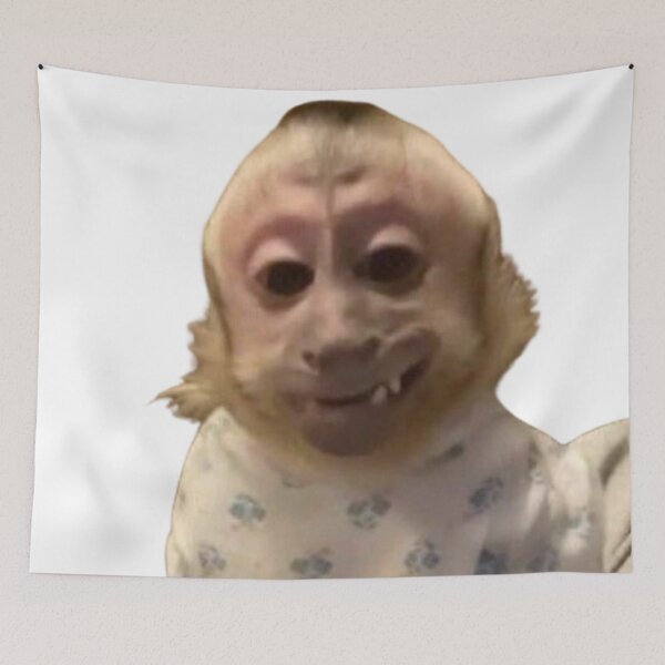 Item preview, silly monkey designed and sold by monkey zone.