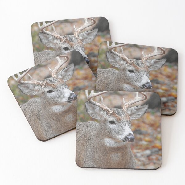 Item preview, White Tailed Deer Buck Close Up designed and sold by priesterjen.
