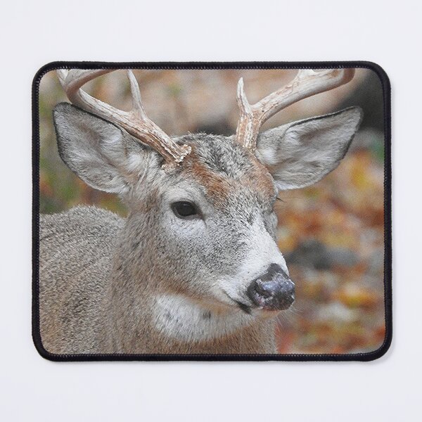 Item preview, White Tailed Deer Buck Close Up designed and sold by priesterjen.