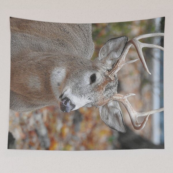 Item preview, White Tailed Deer Buck Close Up designed and sold by priesterjen.