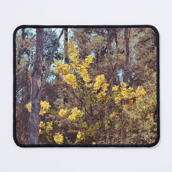 Item preview, Australian Native Golden Wattle Flowers in Morning Light designed and sold by Mary Prema Art.