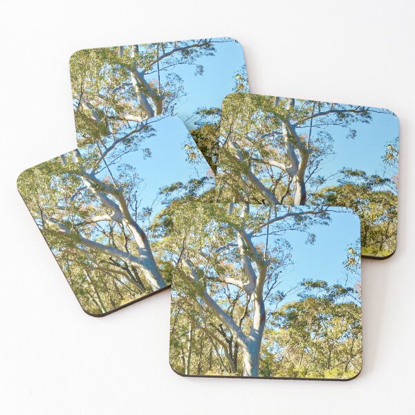 Item preview, Sunlight Filtering Through Gum Trees in Australian Bush designed and sold by Mary Prema Art.