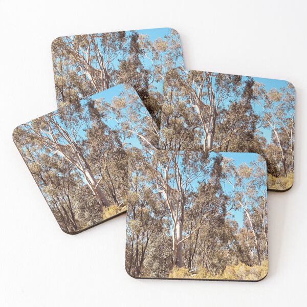 Item preview, Sunlit Eucalyptus Trees in Australian Bush designed and sold by Mary Prema Art.