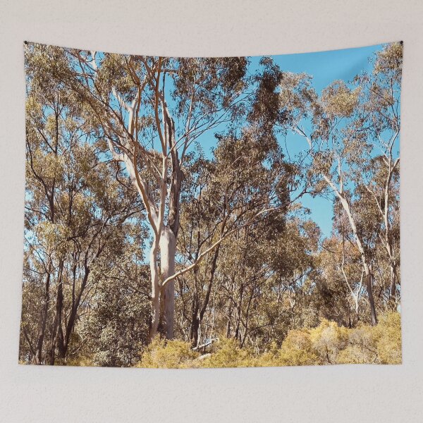 Item preview, Sunlit Eucalyptus Trees in Australian Bush designed and sold by Mary Prema Art.