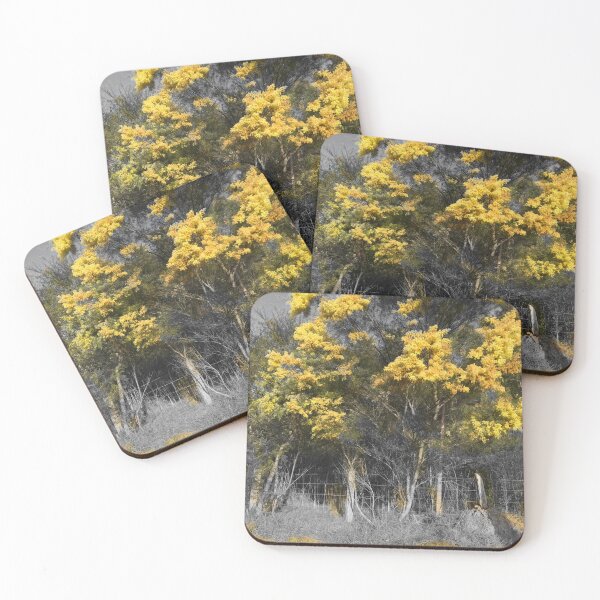 Item preview, Australian Golden Wattle Flowers Against Black Grey Background designed and sold by Mary Prema Art.