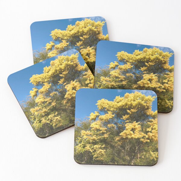 Item preview, Australian Native Golden Wattle Flowers in Full Bloom designed and sold by Mary Prema Art.