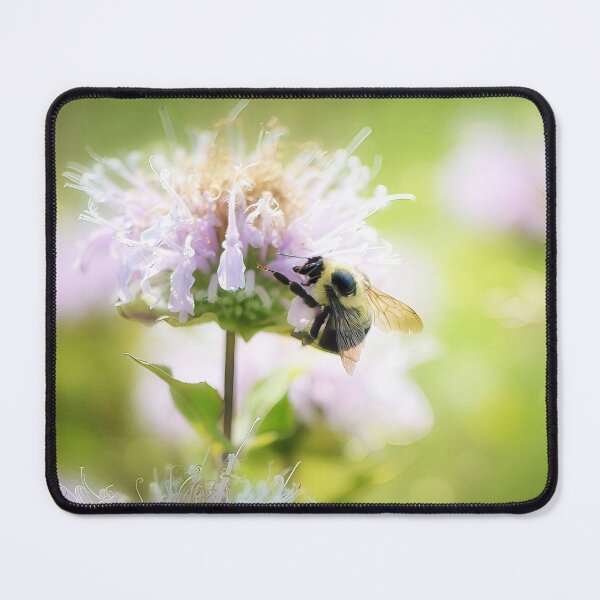 Item preview, Wild Honey designed and sold by Lois Bryan.