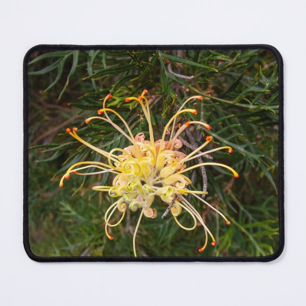 Item preview, Australian Moments - Grevillea Glow in the Aussie Bush designed and sold by Michael van der Hoorn.