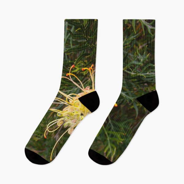 Item preview, Australian Moments - Grevillea Glow in the Aussie Bush designed and sold by Michael van der Hoorn.