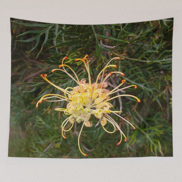 Item preview, Australian Moments - Grevillea Glow in the Aussie Bush designed and sold by Michael van der Hoorn.