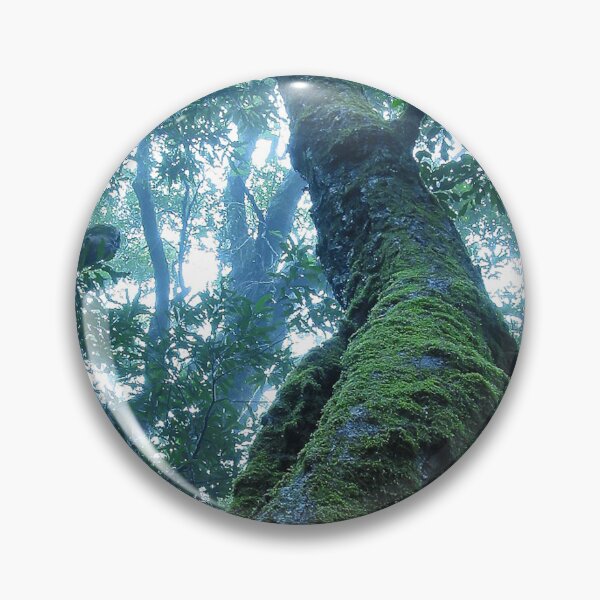Item preview, Australian Moments – Misty Antarctic Beech at Binna Burra designed and sold by Michael van der Hoorn.