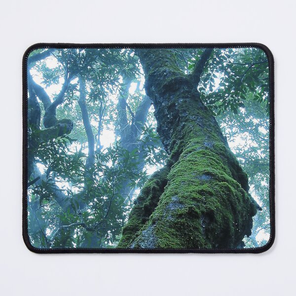 Item preview, Australian Moments – Misty Antarctic Beech at Binna Burra designed and sold by Michael van der Hoorn.