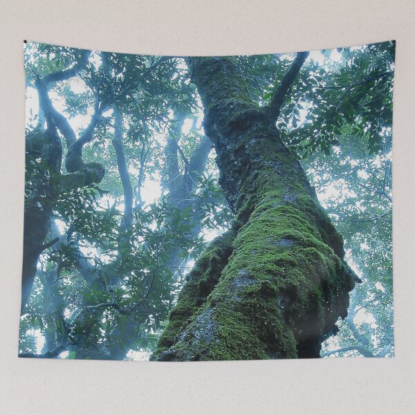 Item preview, Australian Moments – Misty Antarctic Beech at Binna Burra designed and sold by Michael van der Hoorn.