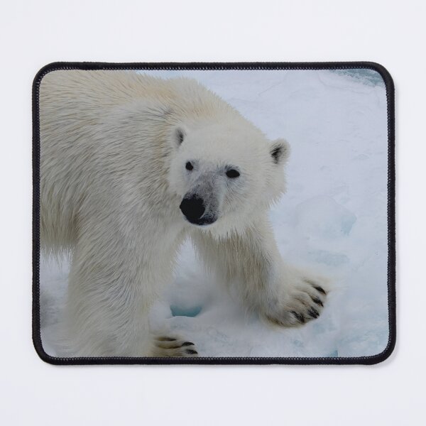 Item preview, Aren't I Gorgeous designed and sold by Marylou Badeaux.