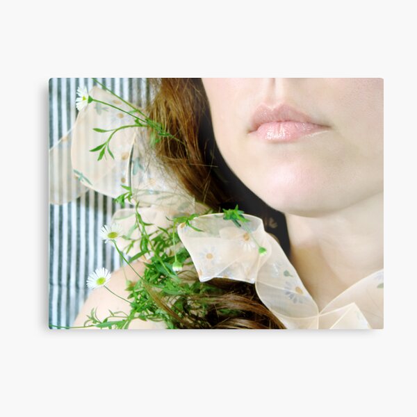 ~ daisy ribbon ~ Metal Print