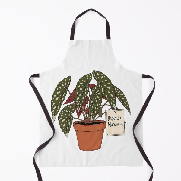 Item preview, Begonia Maculata Potted Polka Dot Houseplant designed and sold by k3rstman1.