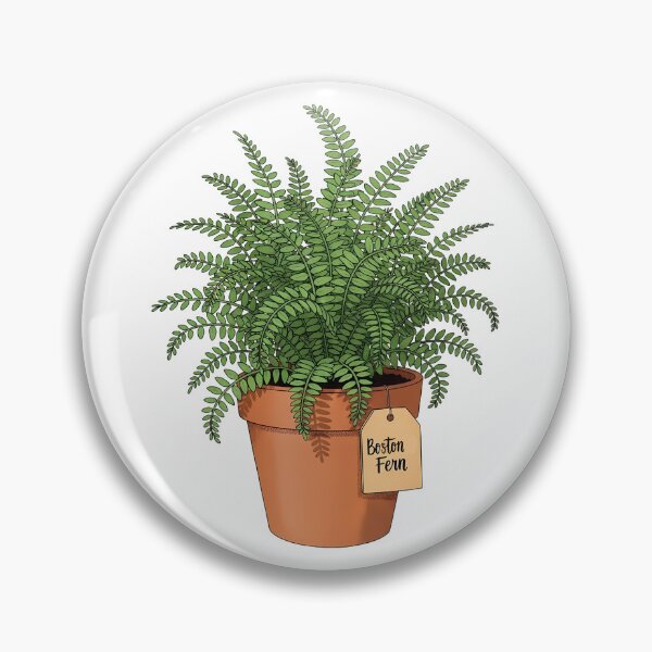Item preview, Lush Green Boston Fern Potted Plant designed and sold by k3rstman1.