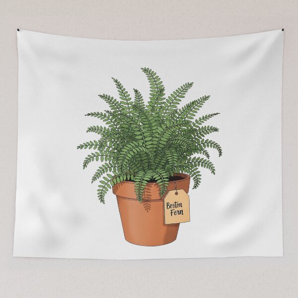 Item preview, Lush Green Boston Fern Potted Plant designed and sold by k3rstman1.