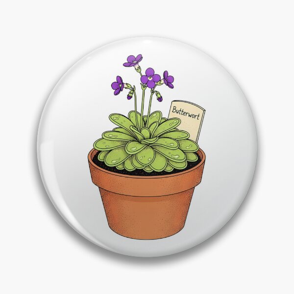 Item preview, Potted Butterwort Carnivorous Plant Botanical Illustration designed and sold by k3rstman1.