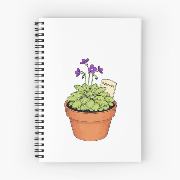 Item preview, Potted Butterwort Carnivorous Plant Botanical Illustration designed and sold by k3rstman1.