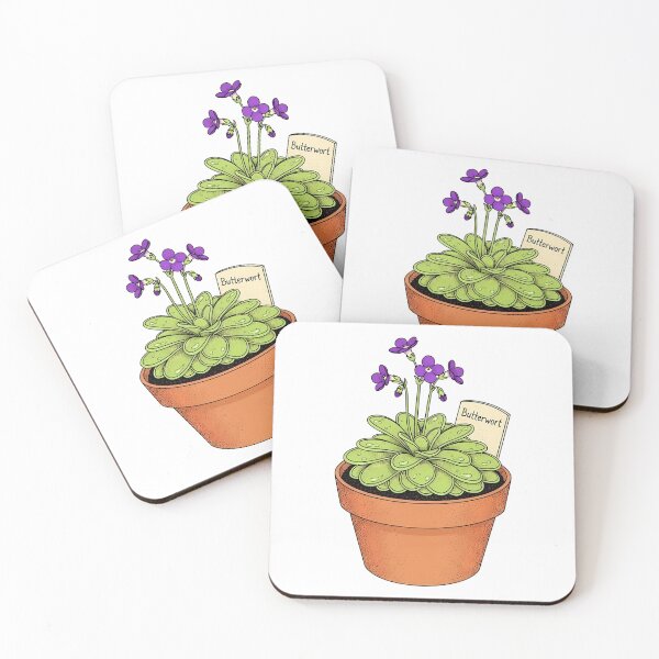 Item preview, Potted Butterwort Carnivorous Plant Botanical Illustration designed and sold by k3rstman1.