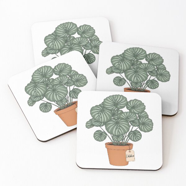 Item preview, Potted Calathea Plant Botanical Houseplant Decor designed and sold by k3rstman1.