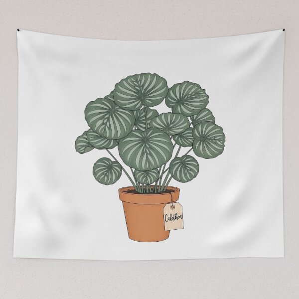 Item preview, Potted Calathea Plant Botanical Houseplant Decor designed and sold by k3rstman1.