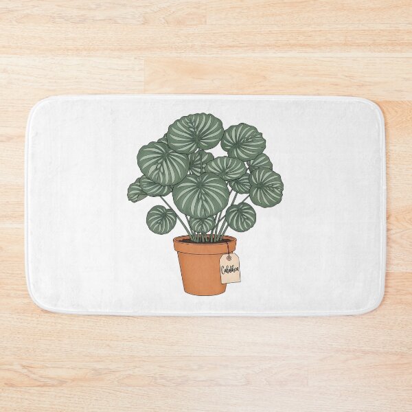 Item preview, Potted Calathea Plant Botanical Houseplant Decor designed and sold by k3rstman1.