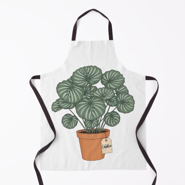 Item preview, Potted Calathea Plant Botanical Houseplant Decor designed and sold by k3rstman1.