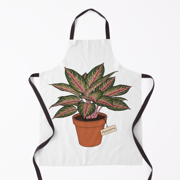 Item preview, Beautiful Aglaonema Chinese Evergreen Houseplant designed and sold by k3rstman1.