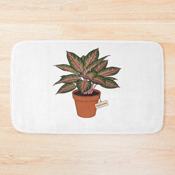 Item preview, Beautiful Aglaonema Chinese Evergreen Houseplant designed and sold by k3rstman1.
