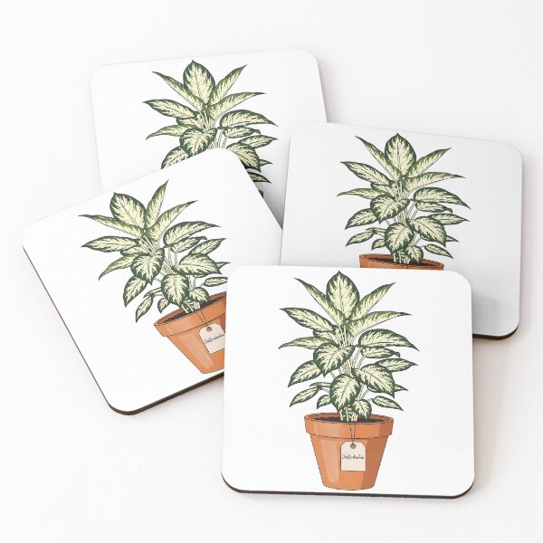Item preview, Dieffenbachia Potted Houseplant Botanical Indoor Plant designed and sold by k3rstman1.