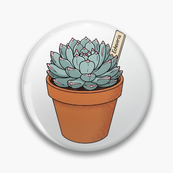 Item preview, Cute Echeveria Succulent Potted Plant Illustration designed and sold by k3rstman1.