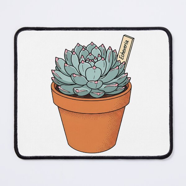 Item preview, Cute Echeveria Succulent Potted Plant Illustration designed and sold by k3rstman1.