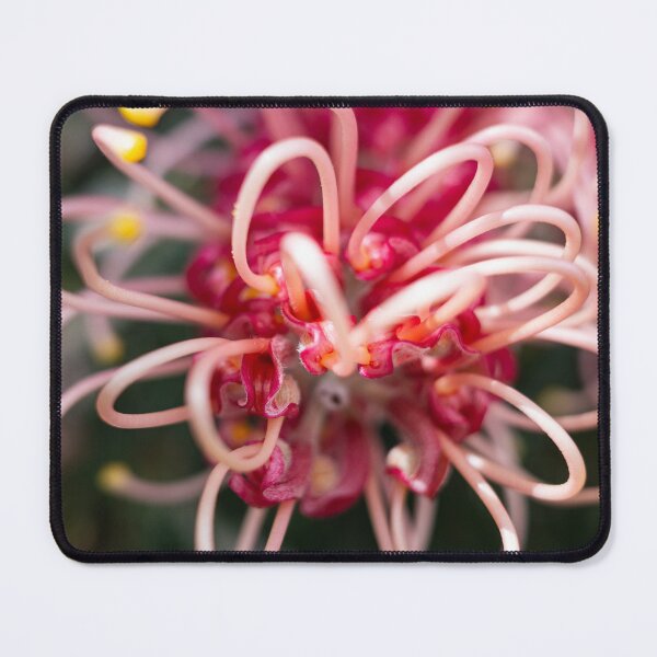Item preview, Australian Moments Grevillea Bloom Macro Photography designed and sold by Michael van der Hoorn.